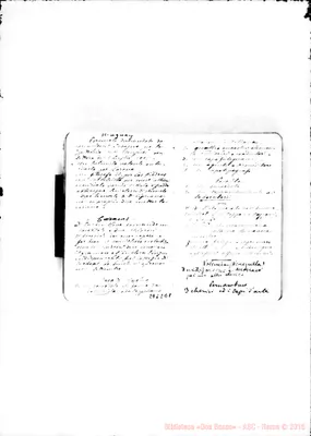 Fotogramma E 8