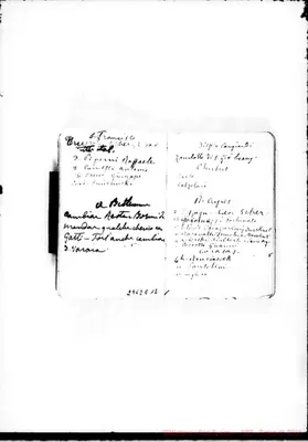 Fotogramma E 12