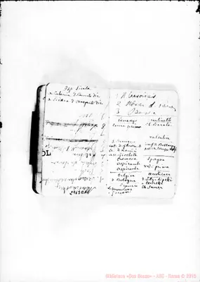 Fotogramma B 11