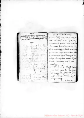 Fotogramma D 3