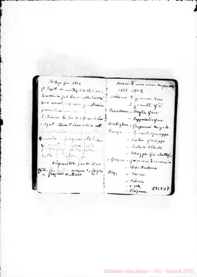 Fotogramma D 7