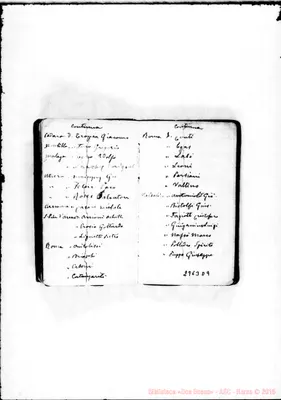 Fotogramma D 9