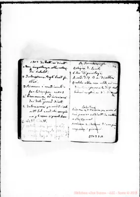 Fotogramma D 10