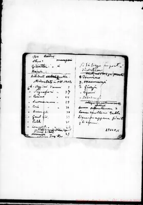 Fotogramma A 11