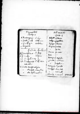 Fotogramma B 1