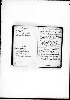 Fotogramma C 5