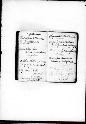 Fotogramma C 8