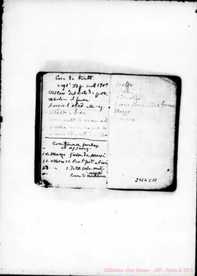 Fotogramma C 11