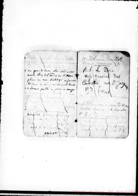 Fotogramma D 3