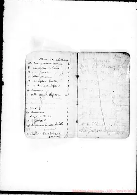 Fotogramma D 4
