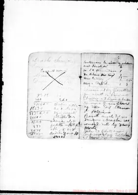 Fotogramma D 5