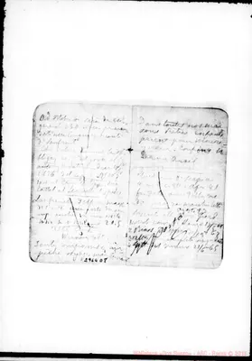 Fotogramma D 8