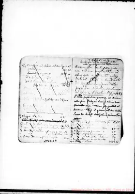 Fotogramma D 9