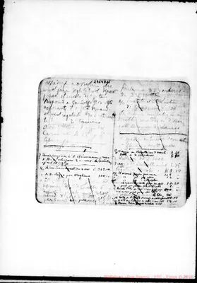 Fotogramma D 11