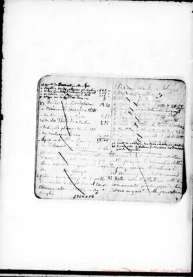Fotogramma D 12