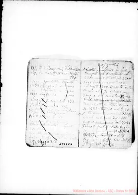 Fotogramma E 4