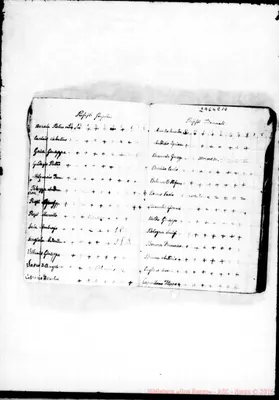 Fotogramma E 10