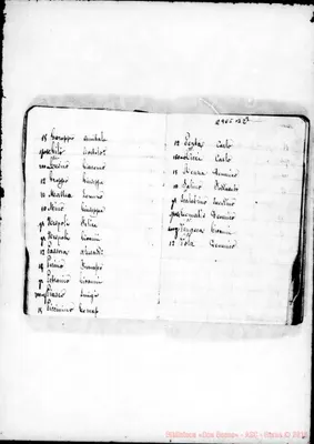 Fotogramma B 2