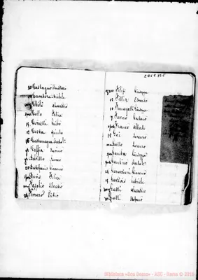 Fotogramma B 5