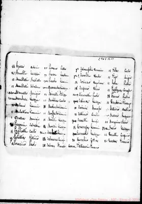 Fotogramma B 11