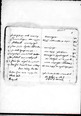 Fotogramma C 5