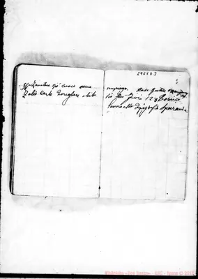 Fotogramma D 3
