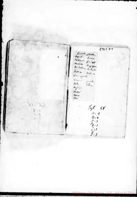Fotogramma D 4