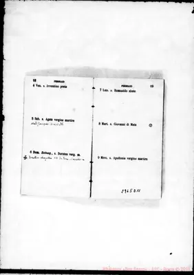 Fotogramma D 11