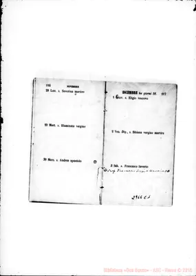 Fotogramma C 1