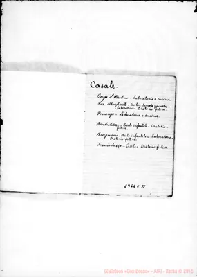 Fotogramma C 11