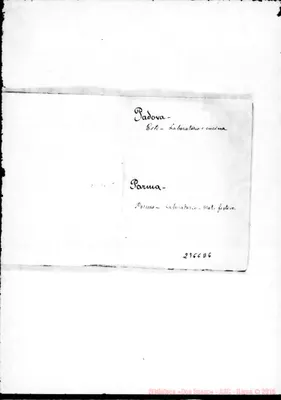 Fotogramma D 6