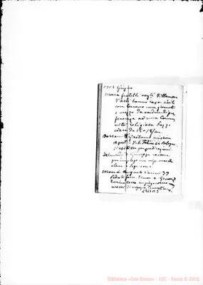 Fotogramma B 3