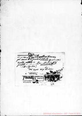 Fotogramma C 10