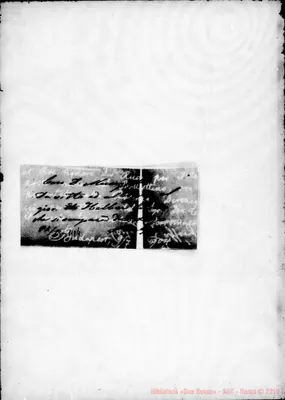 Fotogramma C 12