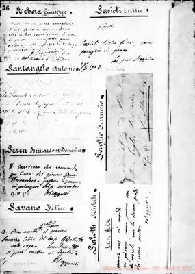 Fotogramma E 8