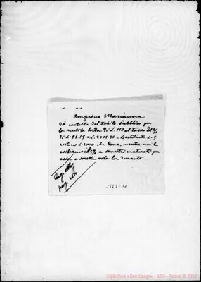 Fotogramma C 11