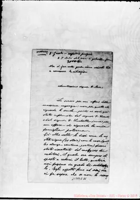 Fotogramma C 11
