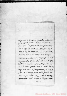 Fotogramma C 1