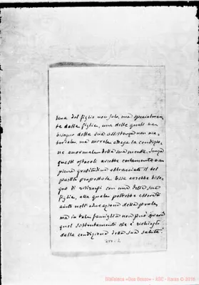 Fotogramma C 2
