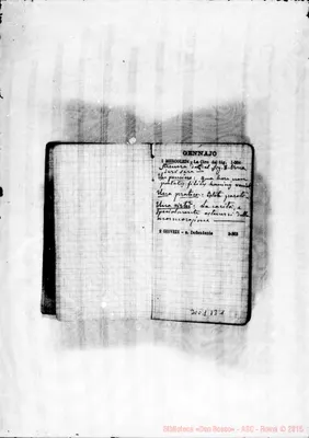 Fotogramma B 1