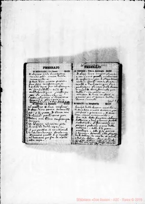 Fotogramma C 1