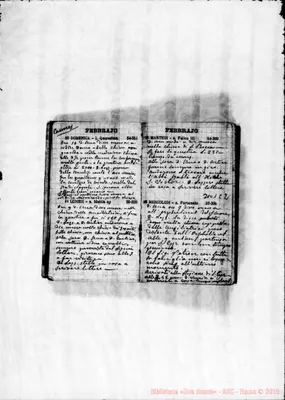 Fotogramma C 2