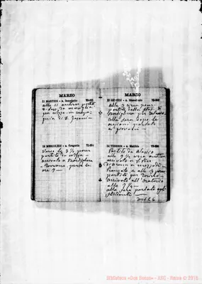 Fotogramma C 6