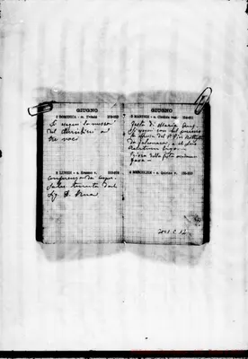 Fotogramma C 12