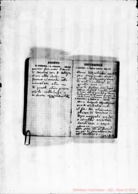 Fotogramma D 11