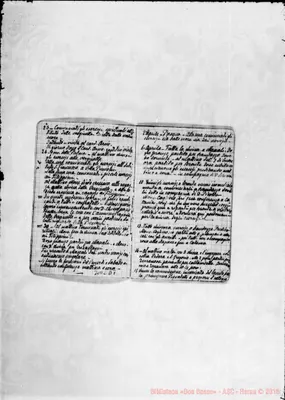 Fotogramma D 7