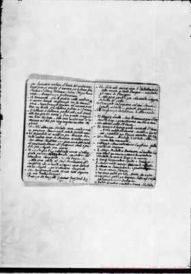 Fotogramma D 8