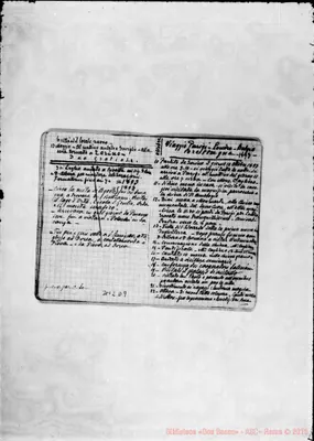 Fotogramma D 9