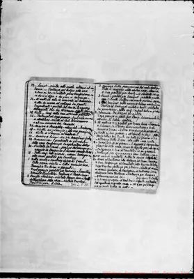 Fotogramma D 10