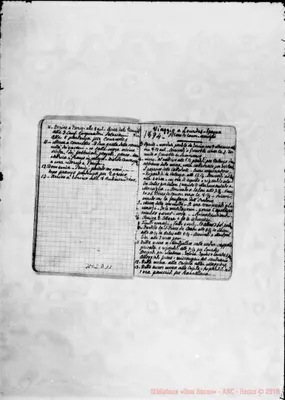 Fotogramma D 11